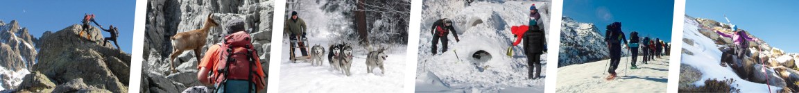 team-building-naturaleza